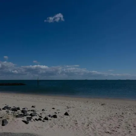 Lovely In The Center