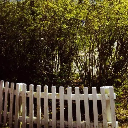 Lovely In The Center